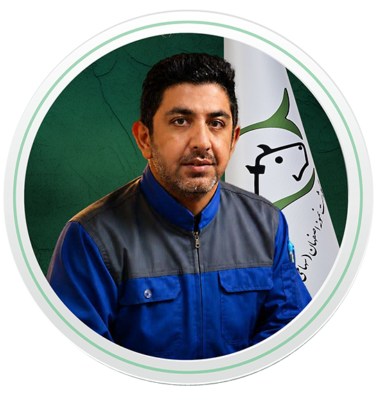 سیفی 2